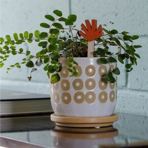 Artisan Plant Tag Label Stakes by Stacy Wong Handmade.